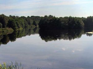 Supporting image for story: Lake pollution fear over Shropshire hotel complex plans