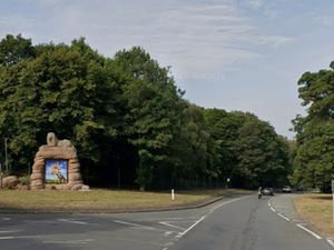 Supporting image for story: RAC apologises to a man left stranded outside West Midlands Safari Park overnight following a family day out after breaking down