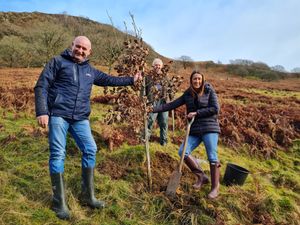 Supporting image for story: Senedd member plants a tree in bid to help the climate