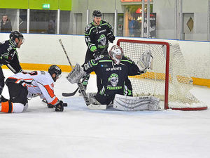 Supporting image for story: Seventh heaven for Tigers with a rout