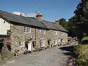 Supporting image for story: Chance to catch trout business