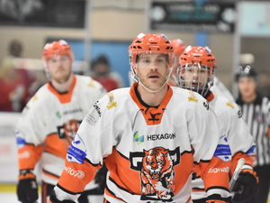 Supporting image for story: Telford Tigers stun Cats 