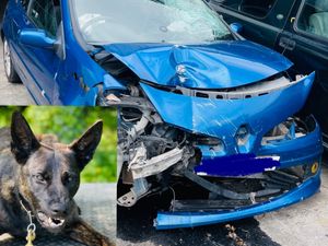Supporting image for story: Car destroyed following 'lengthy' police chase in Essington