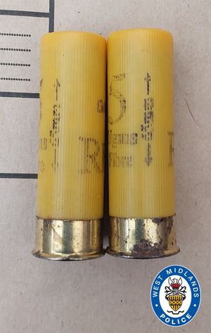 Some of the ammunition used in the incident