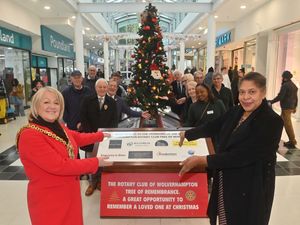 Supporting image for story: Loved ones honoured at tree of remembrance