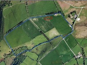 Supporting image for story:  Planning inspector backs Powys planners refusal of a egg farm extension near Llanbister




