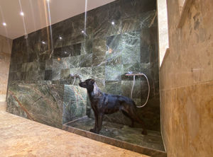 Inside the new grooming facility at K9 Anytime