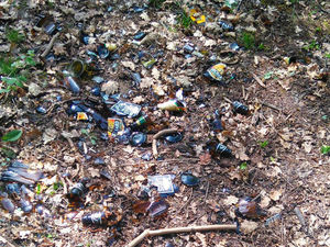 Supporting image for story: Mystery saboteur plants broken glass on Shropshire path