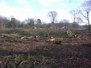 Work was carried out around the Schwingmoor bog in the centre of the Brown Moss Site of Special Specific Interest, in Whitchurch