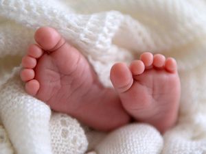 Supporting image for story