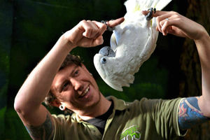 Supporting image for story: Shropshire zoo welcomes new arrivals