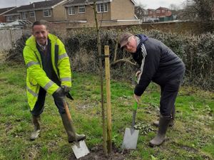 Supporting image for story: Another 60 trees planted as Newport project continues