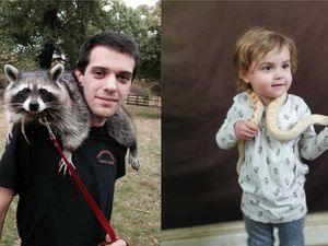 Supporting image for story: Exotic animals ‘may have to be put down’ after business devastated by pandemic