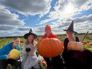 Supporting image for story: Staffordshire’s Biggest Pumpkin Patch Returns – with 25 Acres of Autumn Fun