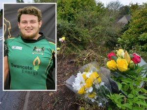 Supporting image for story: Milkman who hit 'gentle giant' with van and left him to die 'thought he hit a badger'