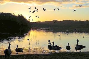 Sunrise over Forge Mill Lake at Sandwell Valley captured by Andy Tee