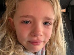 Supporting image for story: Appeal to help find distraught Telford girl's lost rabbit friend