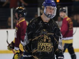 Supporting image for story: Brothers to team up at Telford Tigers