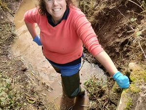 Supporting image for story: Prevent nitrate and phosphate pollution with safer slurry spreading this winter