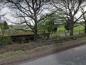 Supporting image for story: Dog days are over as Walsall pooch nursery is refused despite support