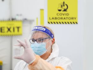 Supporting image for story: New tests could halve time it takes to detect Covid-19 variants of concern