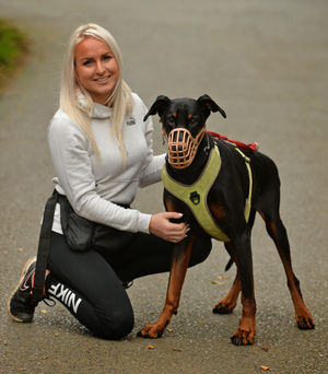 Fundraising for JD the dobermann, Cheryl Gibson, of Broseley, at Hilbrae Pets Hotel, Cold Hatton, Telford