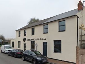 The Ash Tree Bar & Grill in Dudley Road, Wolverhampton
