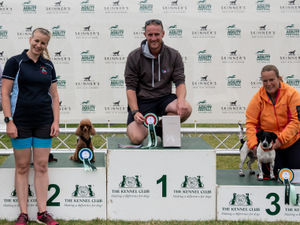 Supporting image for story: Agility success for Shrewsbury dog and her owner