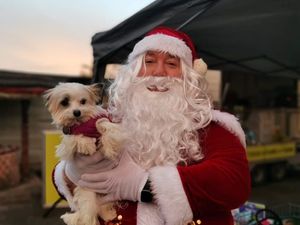 Supporting image for story: Dogs home in Wolverhampton to offer pooches a chance to meet 'Santa Paws'