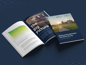 Supporting image for story: 75% of planning applications claim exemptions from Biodiversity Net Gain