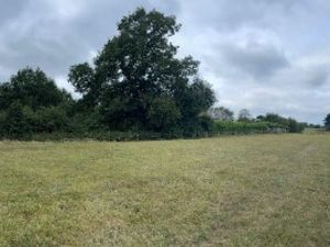 Supporting image for story: Controversial 65-homes plan for Whitchurch recommended for approval