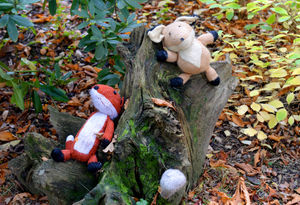 Friendly woollen creatures have made the Mile Walk their home