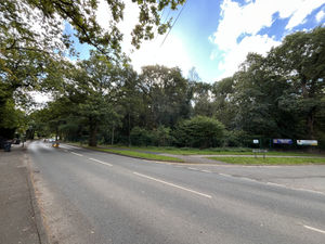 Woodland at Parish Poles on Widney Lane in Solihull sells for more than 23 times the guide price at a Bond Wolfe auction