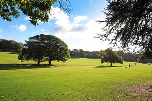 The sprawling 100-acre Warley Woods public park in Smethwick in a beauty spot in the constituency
