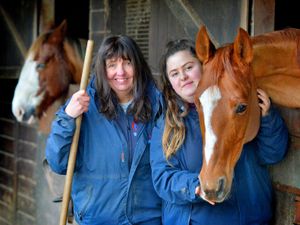 Supporting image for story: Riding programme to help the disadvantaged now offers bursaries