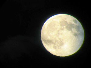 Supporting image for story: War on dementia akin to moon landing mission