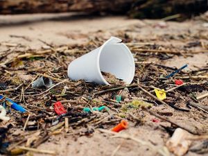 Supporting image for story: Shirley Tart: Litter? It’s just a load of rubbish