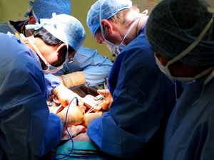 Supporting image for story: Javid denies Treasury held up NHS recovery plan