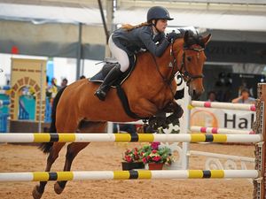 Supporting image for story: Oswestry hosts top equine stars at horse festival