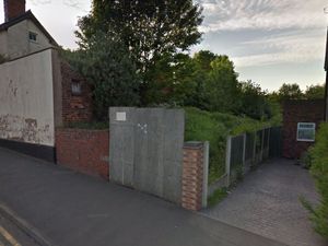 Supporting image for story: Disused Goldthorn Hill allotments brought back into use by community scheme