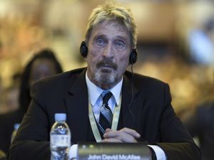 Supporting image for story: Spanish court approves extradition of software entrepreneur John McAfee to US