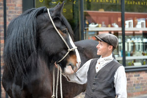Kieran Smith admires George the horse