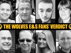 Supporting image for story: Wolves Fans' Verdict v Brentford – point taken