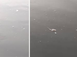 Supporting image for story: Disgusted Shrewsbury mum films 'so much toilet paper' spotted by daughter in River Severn