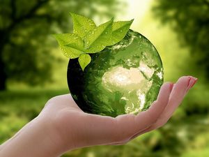 Supporting image for story: Local MPS, what’s your future plan?