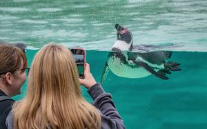 Chester Zoo hope the scheme will help to spark a lifelong passion for saving species. Photo: Chester Zoo