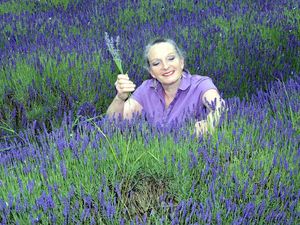 Supporting image for story: The scent of lavender is wafting through the Shropshire air