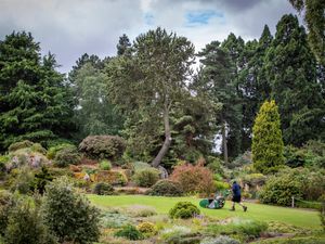 Supporting image for story: Royal Botanic Garden to co-host global augmented reality artwork