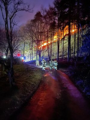 Photos show the extent of the fire. Photo: Phil Davies