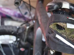 Supporting image for story: Bird's nest puts a spoke in plan to go for a Shropshire bike ride